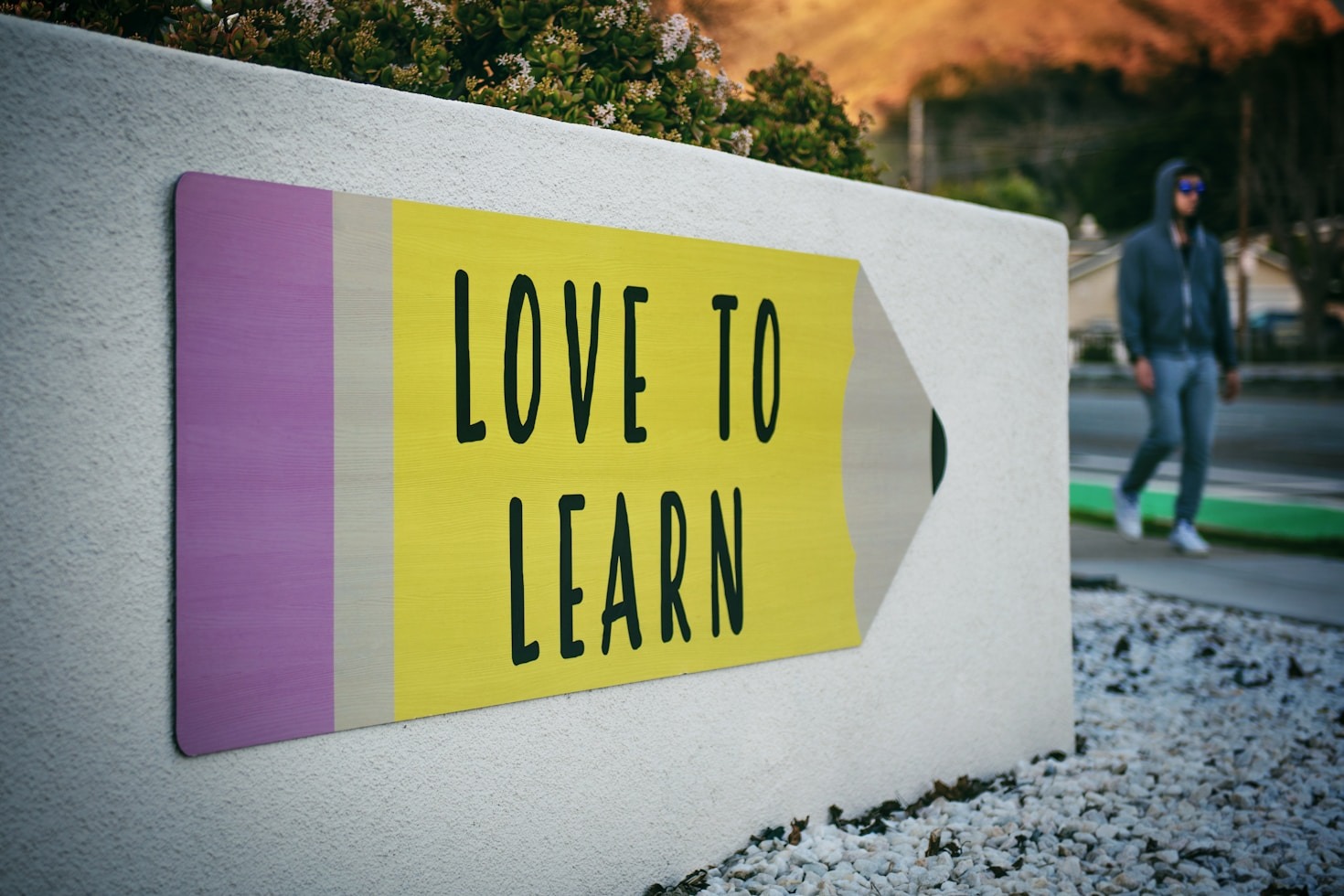 Cultivating A Life Of Meaning And Impact